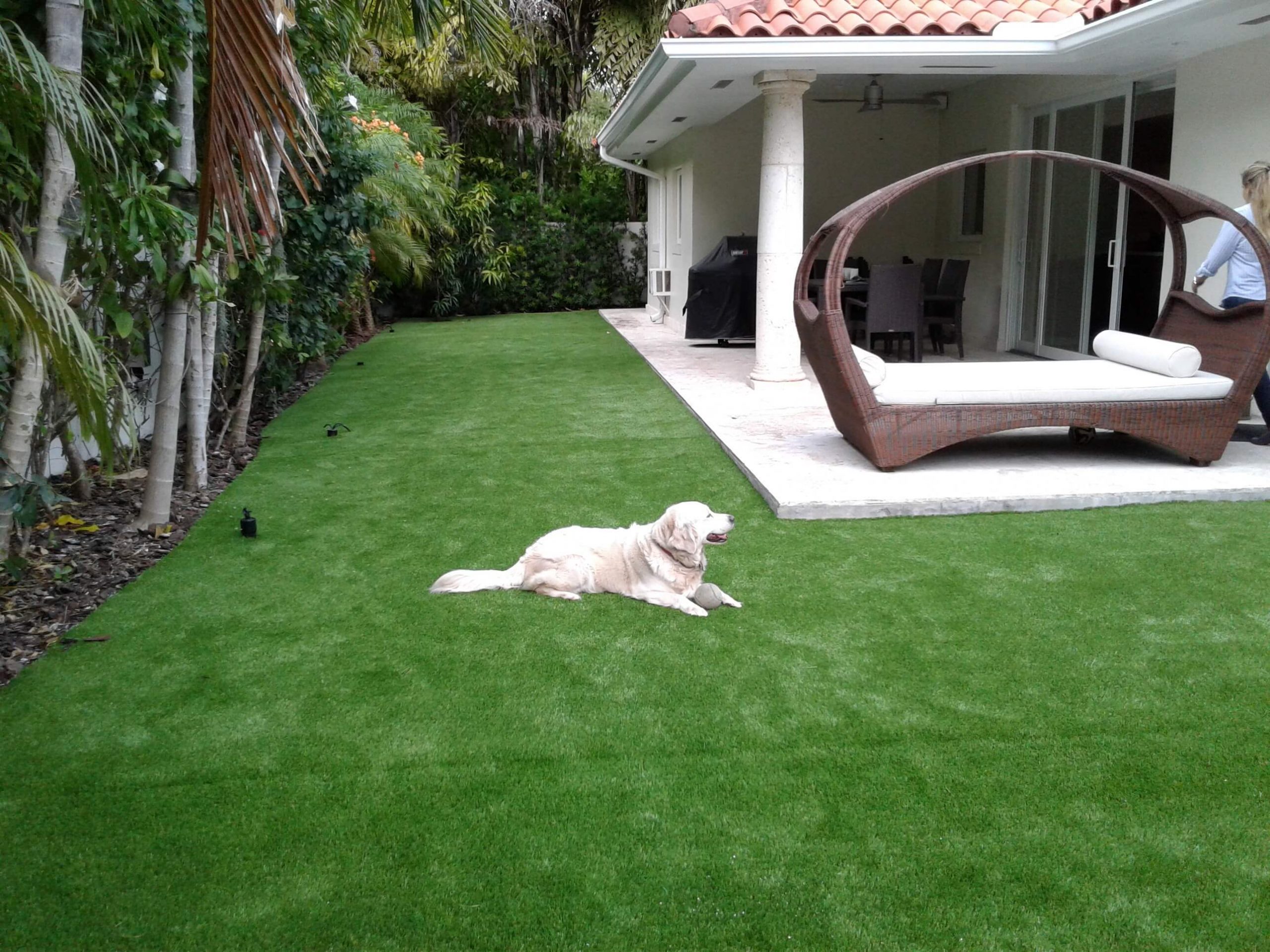 Artificial turf pet area setup in Irving, TX